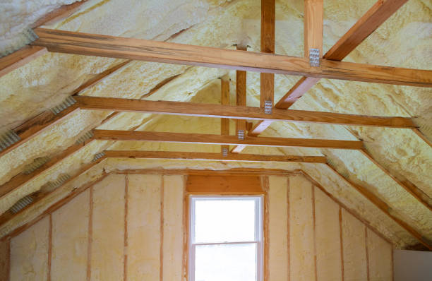 Best Cellulose Insulation in Mathews, VA