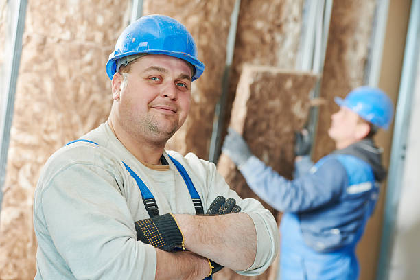 Best Geographic-Specific Insulation Services in Mathews, VA